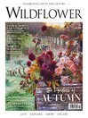 Wildflower